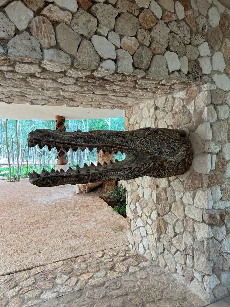 CABEZA COCODRILO