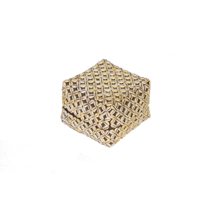 CAJA CONCHAS BLANCAS GRANDE