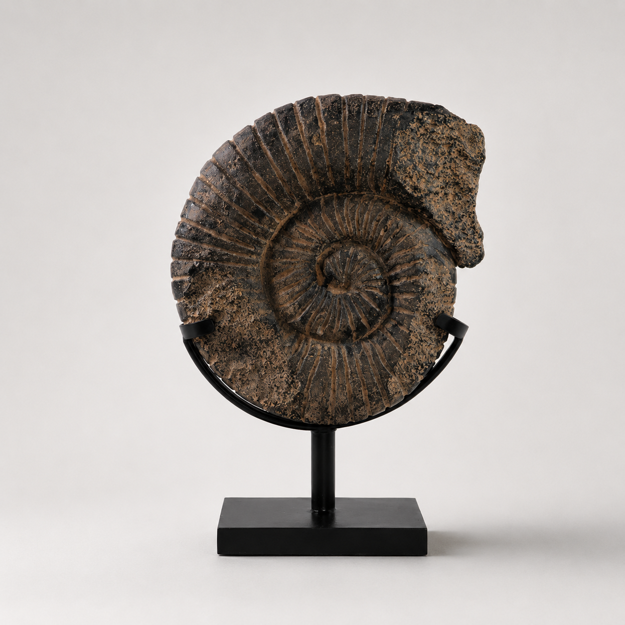 ESCULTURA FOSIL