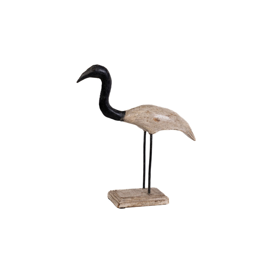 GARZA CUELLO OBSCURO