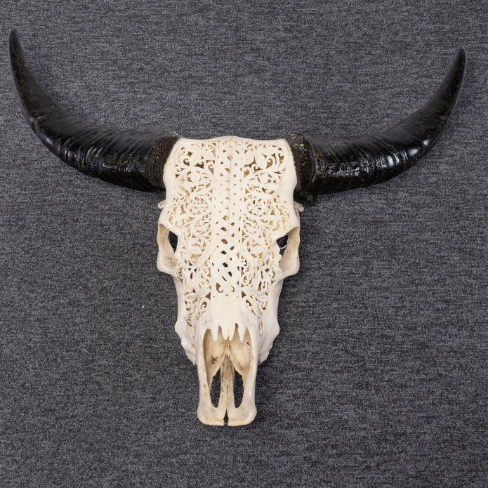 CABEZA BUFFALO CON TALLA