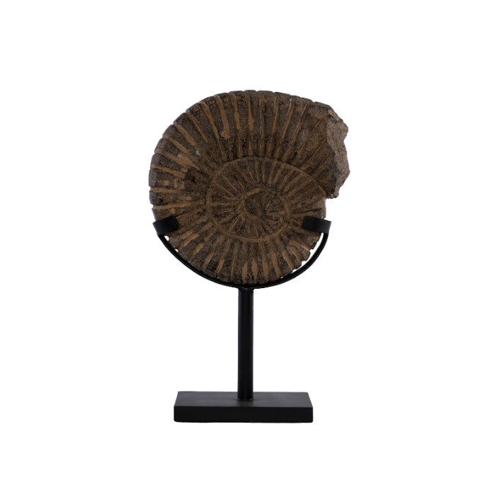 ESCULTURA FOSSIL DE PIEDRA