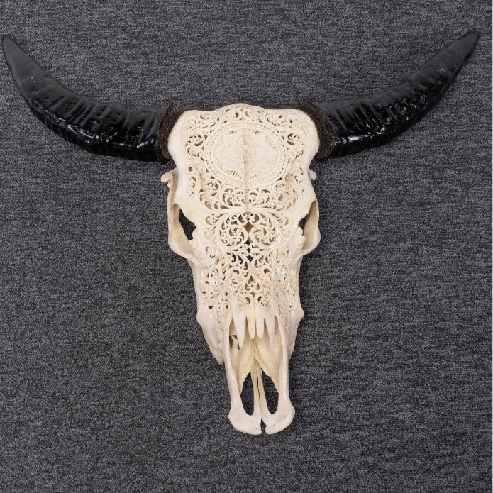 CABEZA BUFFALO CON TALLA GRANDE