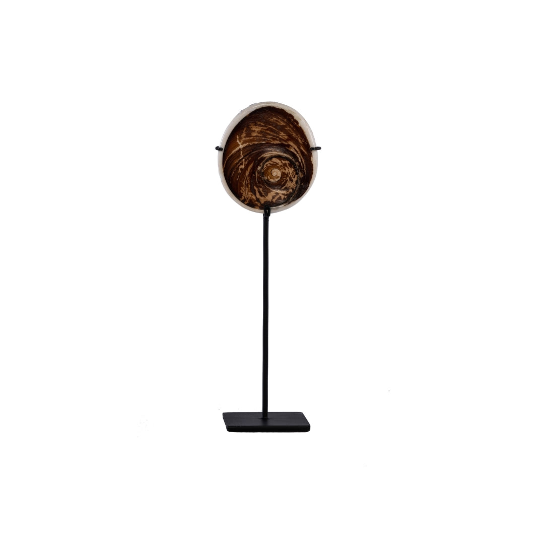 ESCULTURA CONCHA CON BASE