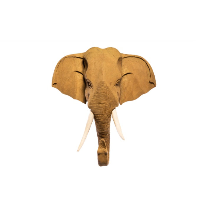 CABEZA ELEFANTE MADERA